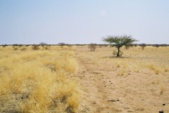 burkina-faso-risultati-04