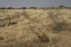 burkina-faso-risultati-08