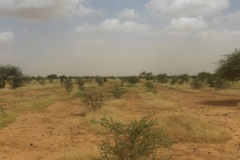 burkina-faso-risultati-16
