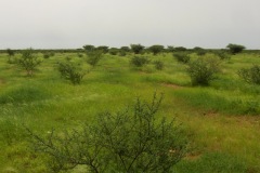 burkina-faso-risultati-19