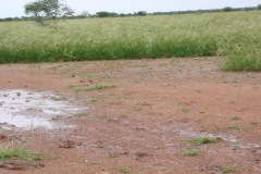 burkina-faso-risultati-24