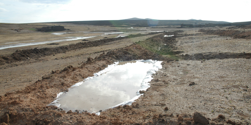 Pjlot Project for the Afforestation with the new plow Delfino 3 in the region of Hulumbeirilot (2012 – in progress)